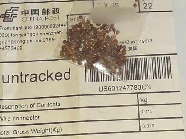 Mysterious seeds from China show up in Douglas